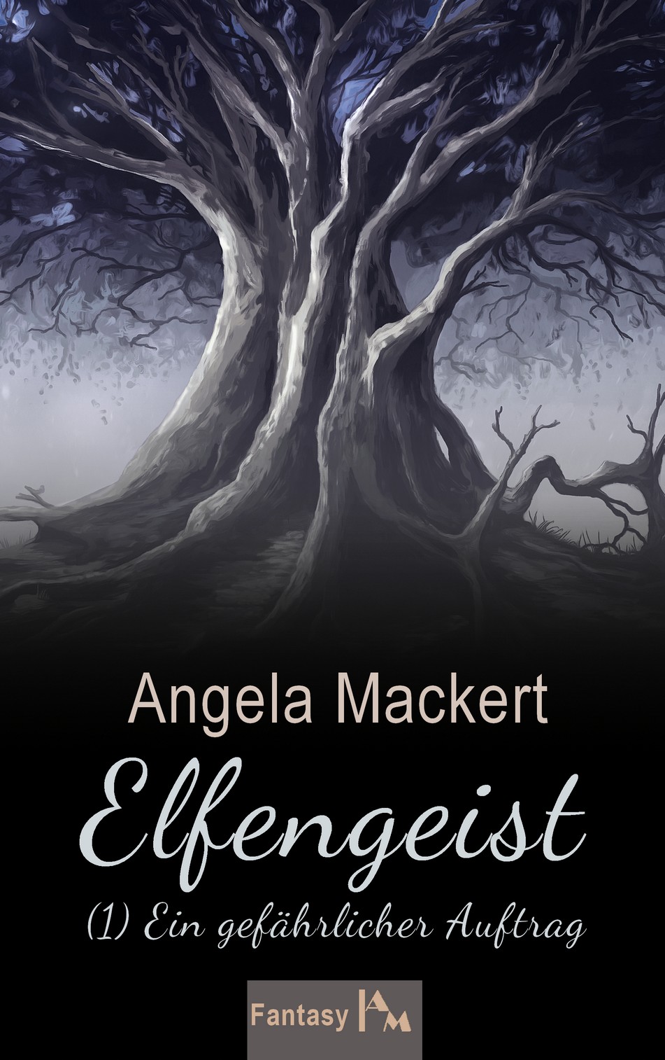 Elfengeist 1 eBook Elfengeist 1 eBook